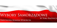 Wizualizacja wyborów samorządowych w toku kadencji 2010-2014